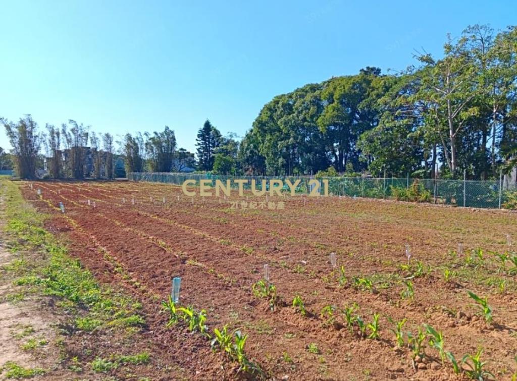 新屋近市區清文路田+資材室