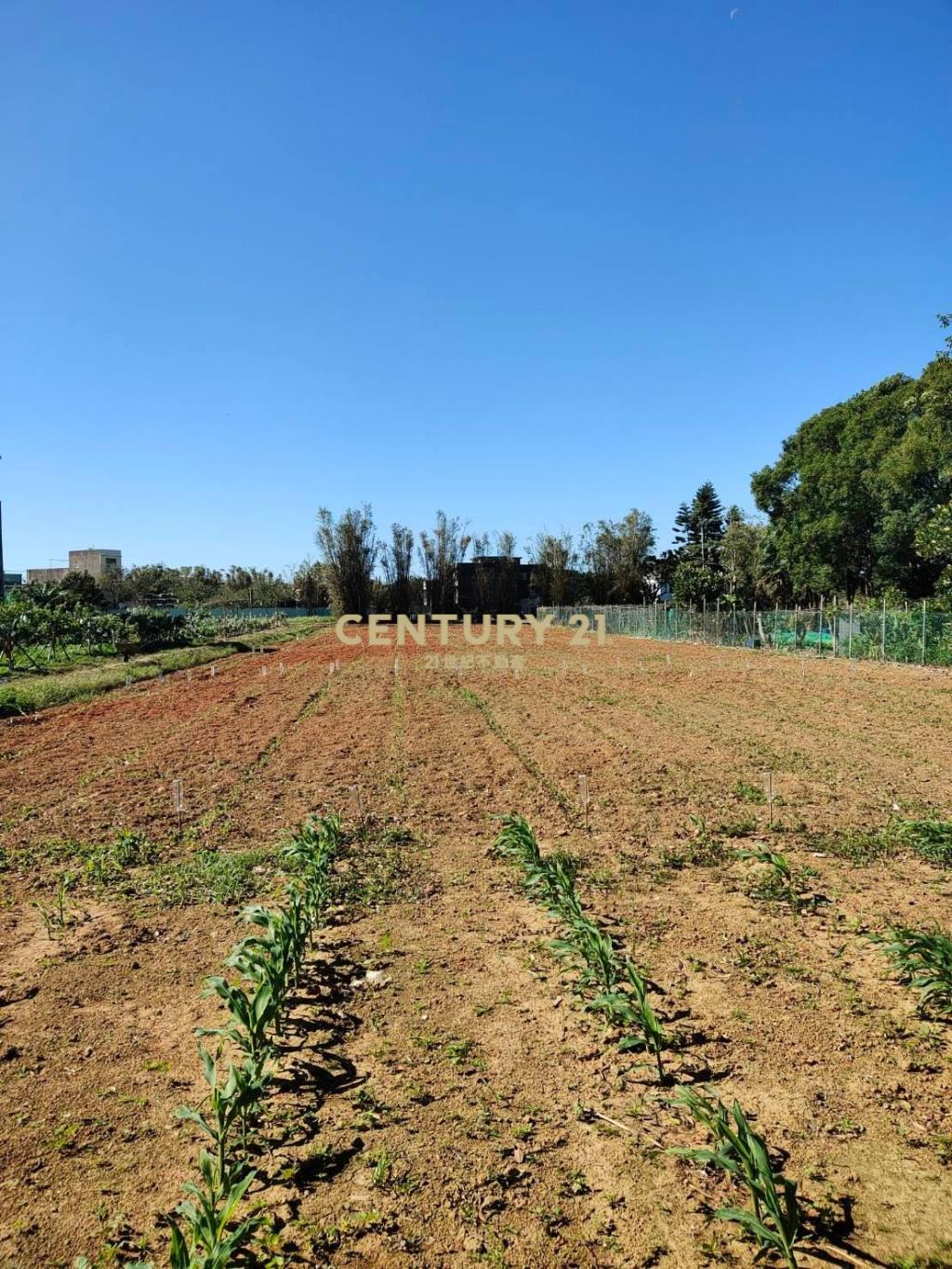 新屋近市區清文路田+資材室