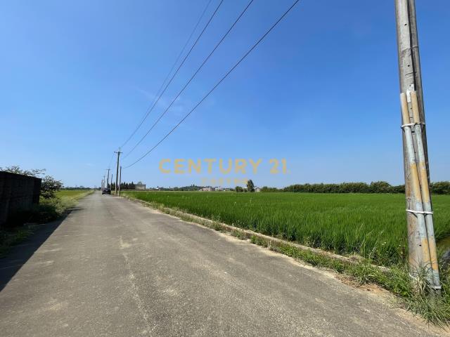 新屋十五間美農地