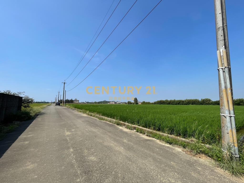 新屋十五間美農地