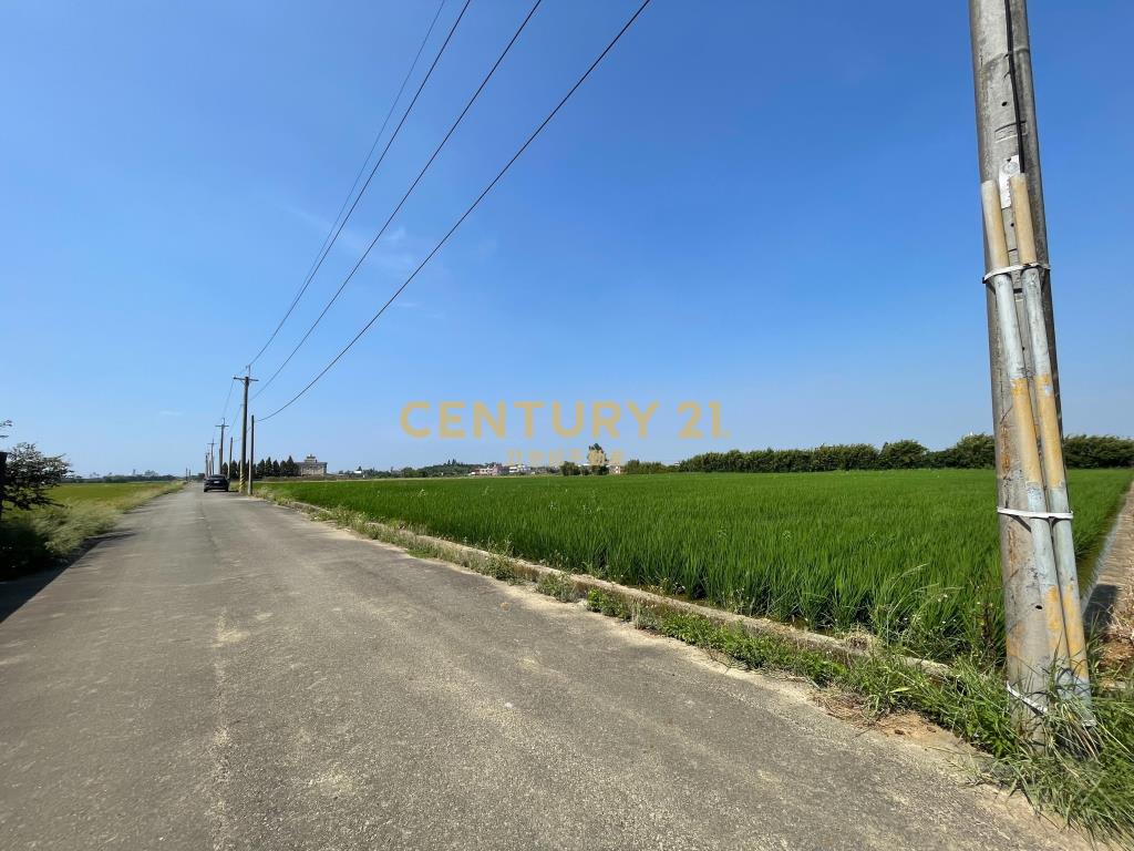 新屋十五間美農地