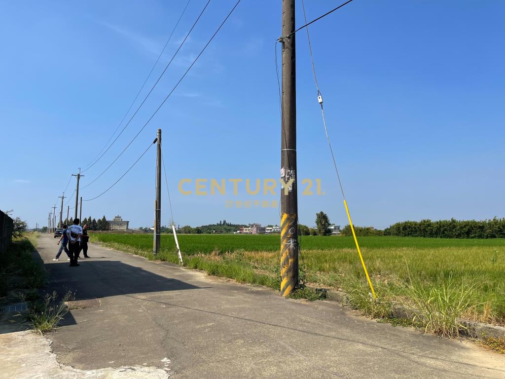 新屋十五間美農地