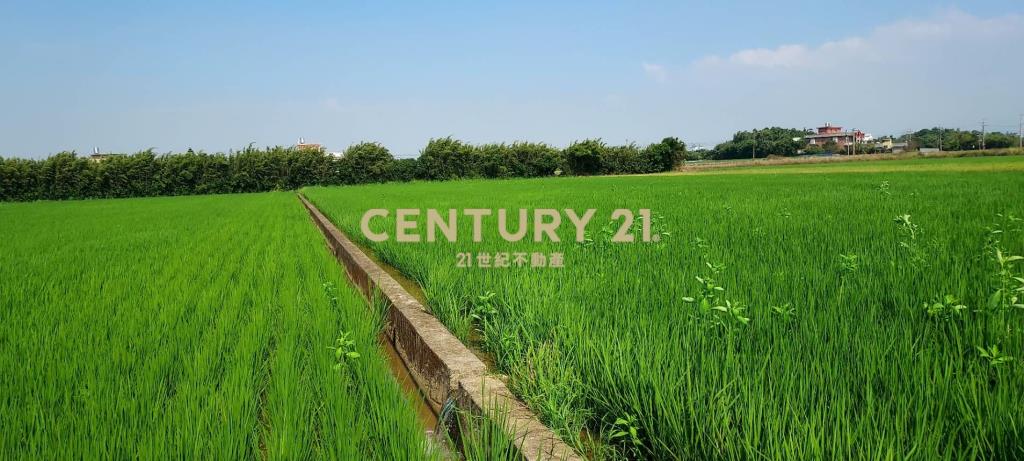 新屋十五間美農地