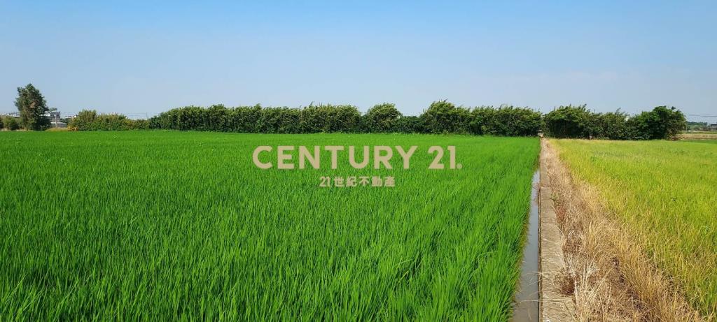 新屋十五間美農地