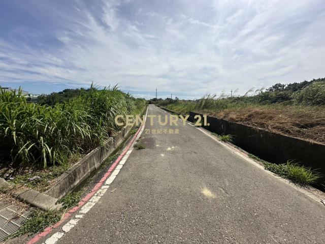 大園正61旁內海墘段一般農