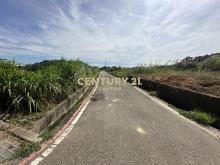 大園正61旁內海墘段一般農