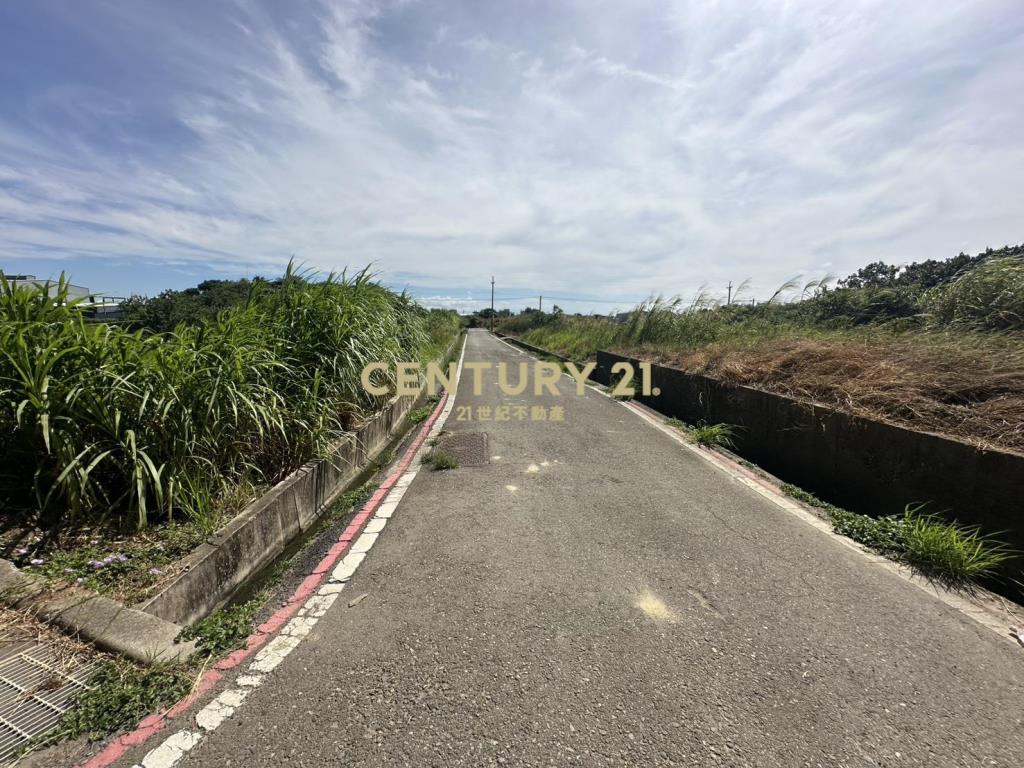 大園正61旁內海墘段一般農