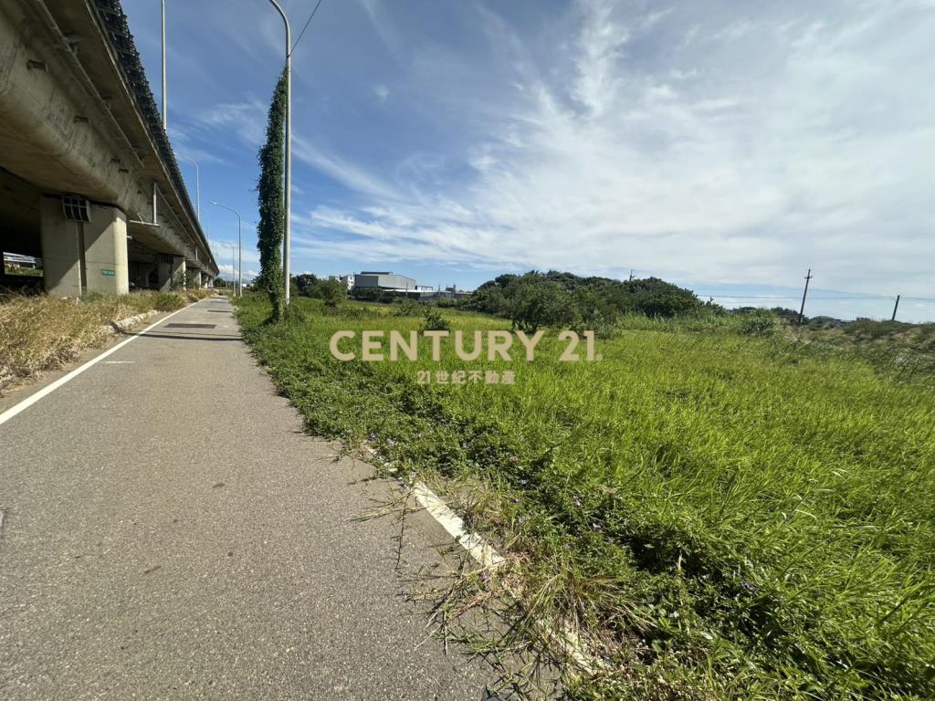 大園正61旁內海墘段一般農