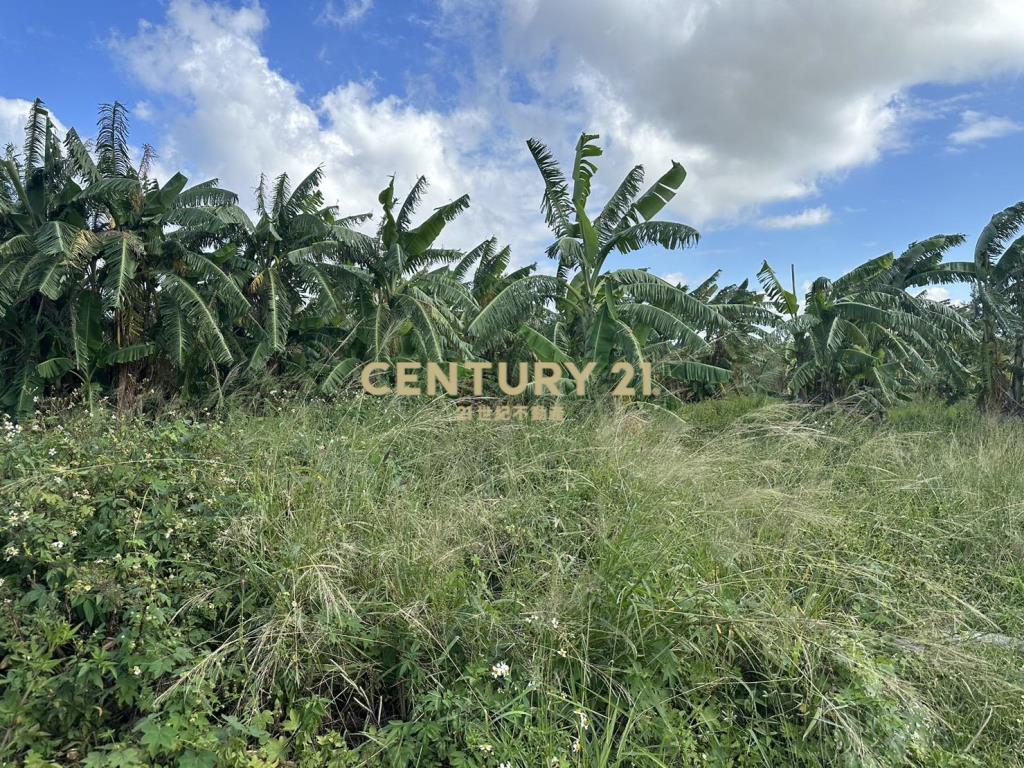 觀音成功路交通用地
