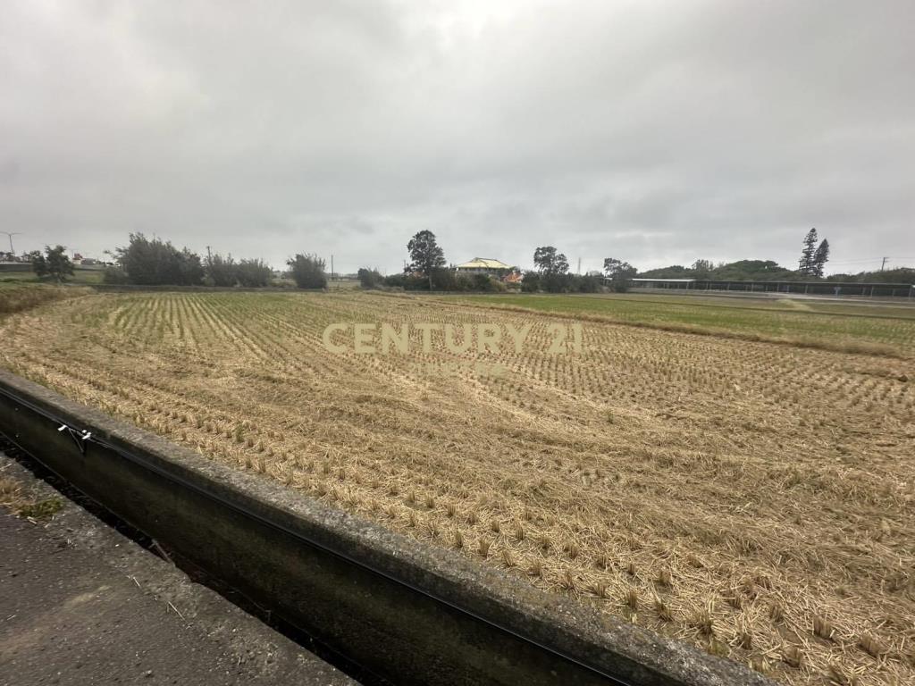 新屋正台15線面寬一般農