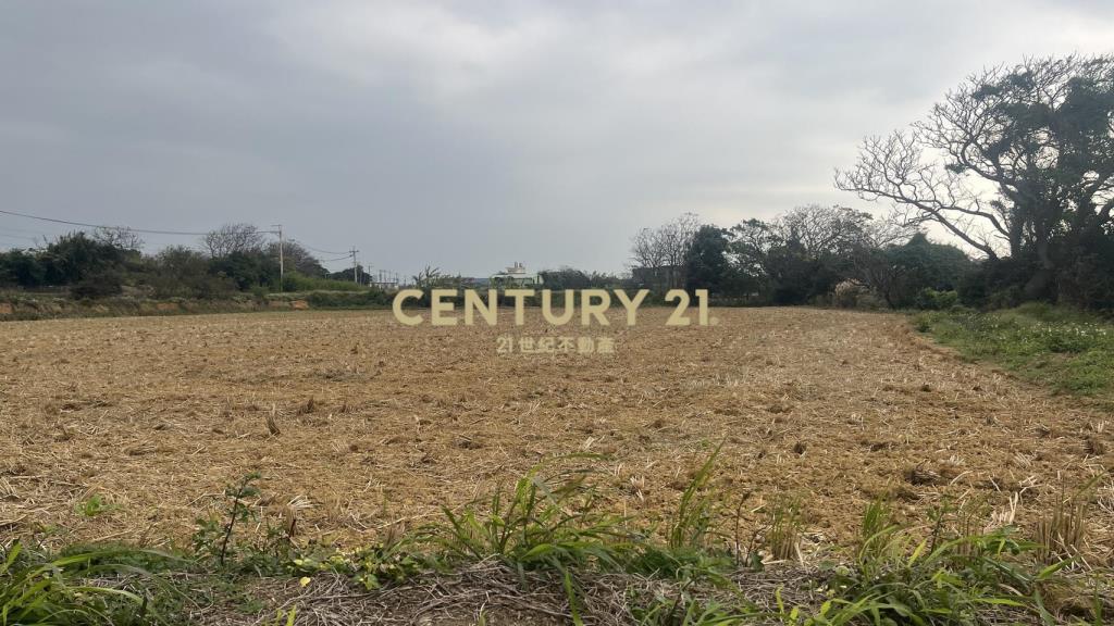 近湖口市區甲建+農地