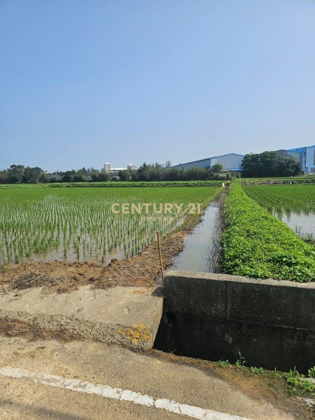 新屋區|近東福路反恐訓練學校|農地