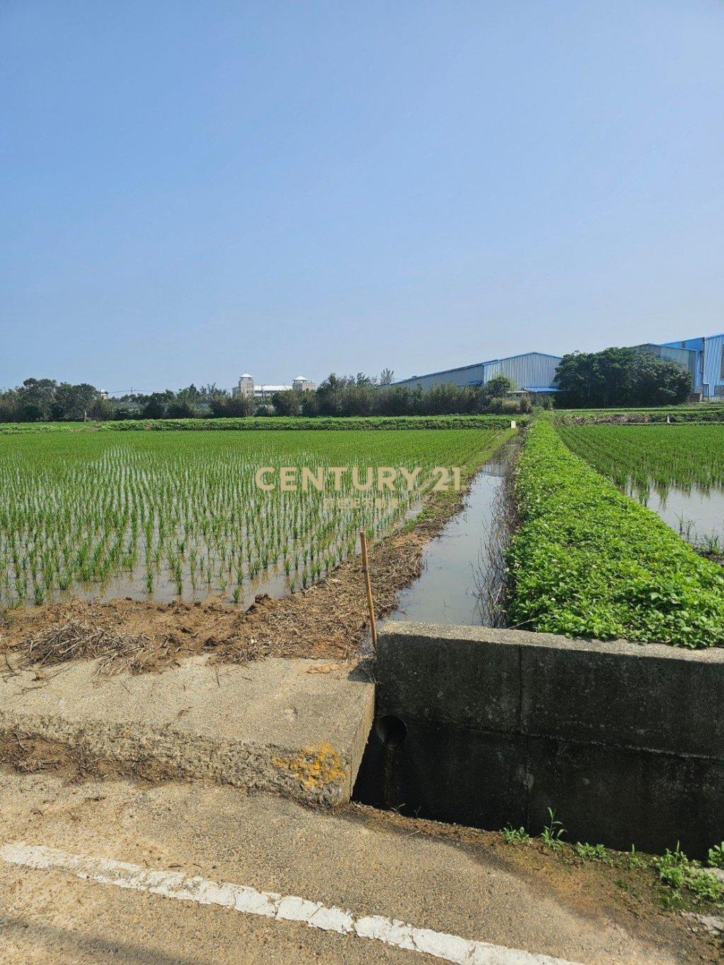新屋區|近東福路反恐訓練學校|農地