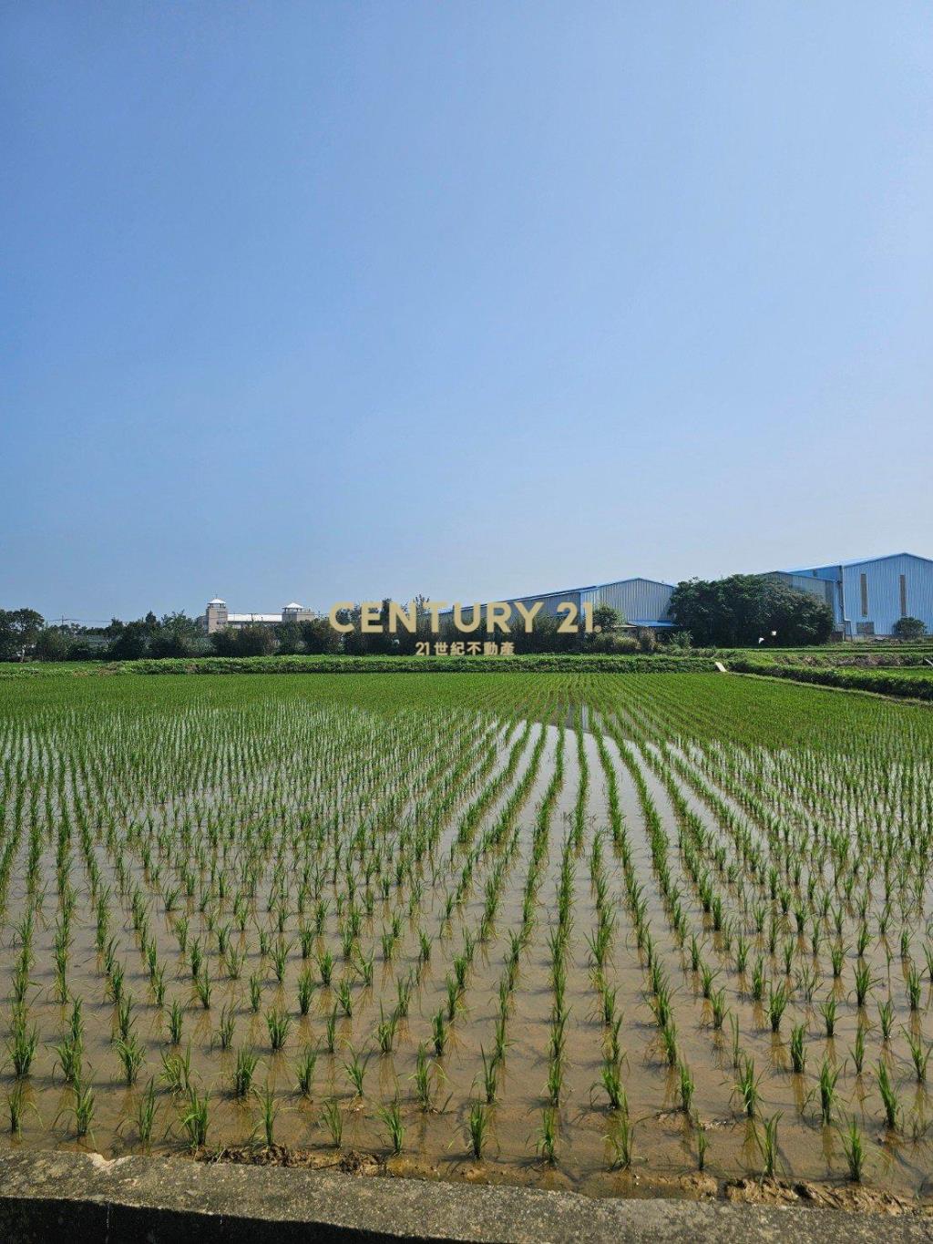 新屋區|近東福路反恐訓練學校|農地