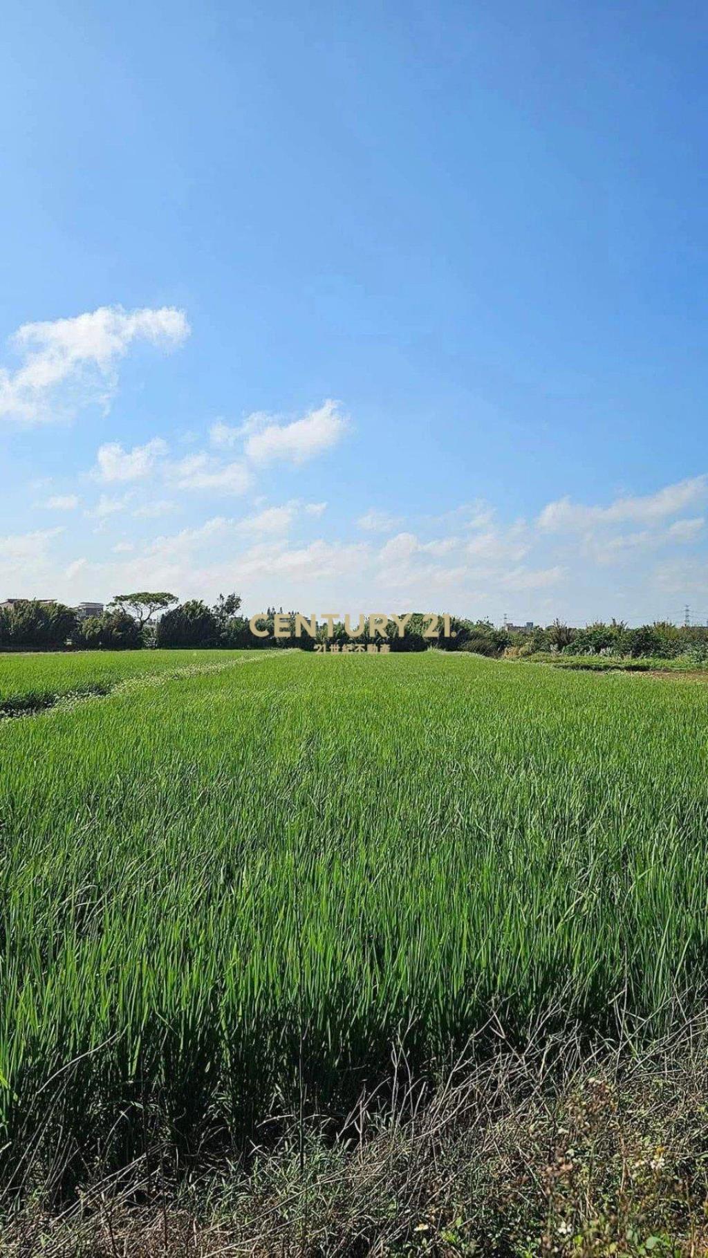 新屋區|近市區|農地