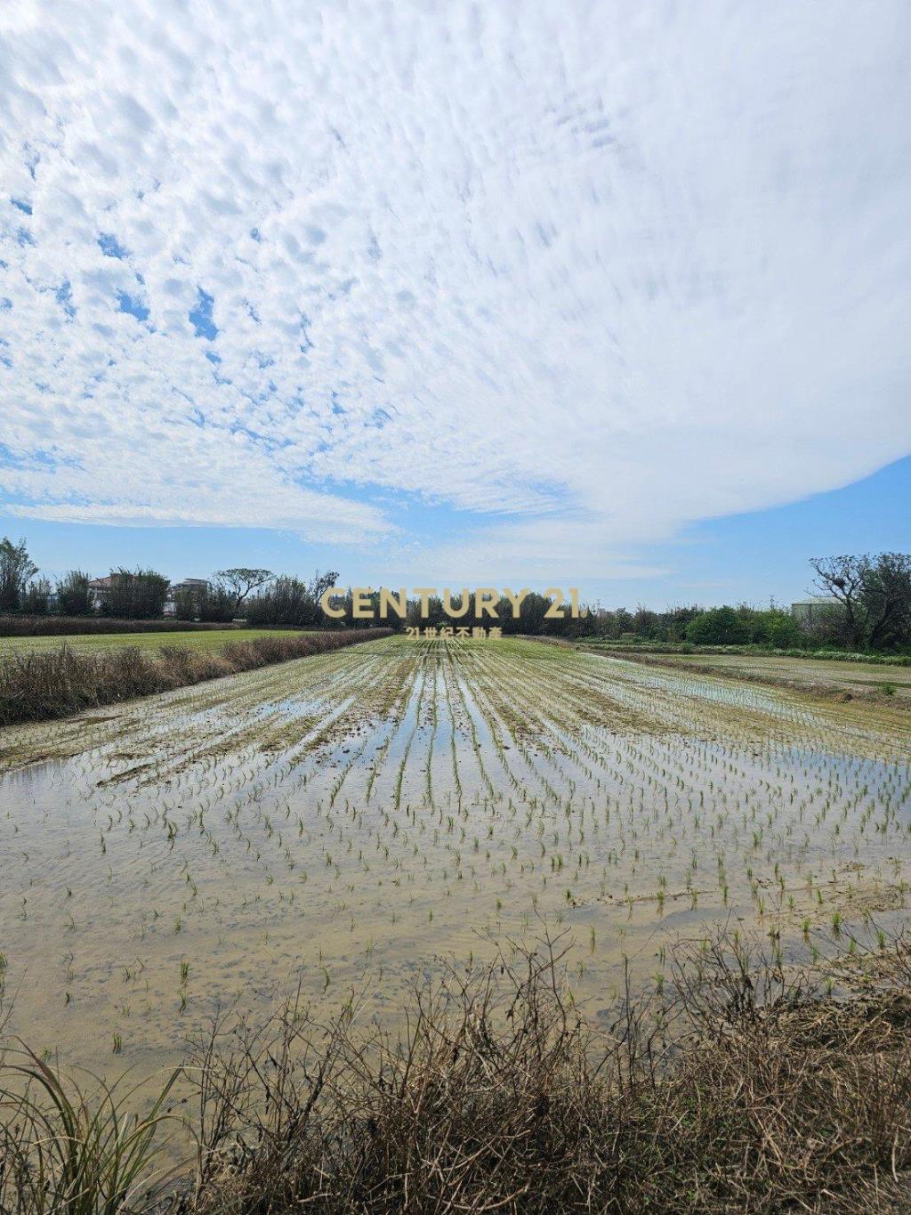 新屋區|近市區|農地