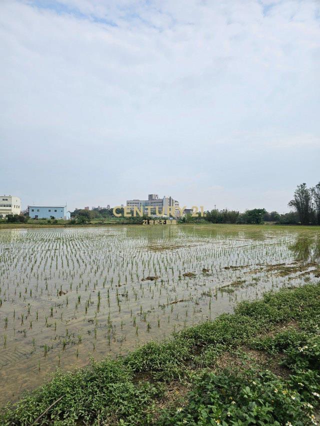 新屋市區|都市計畫內農地|近署桃