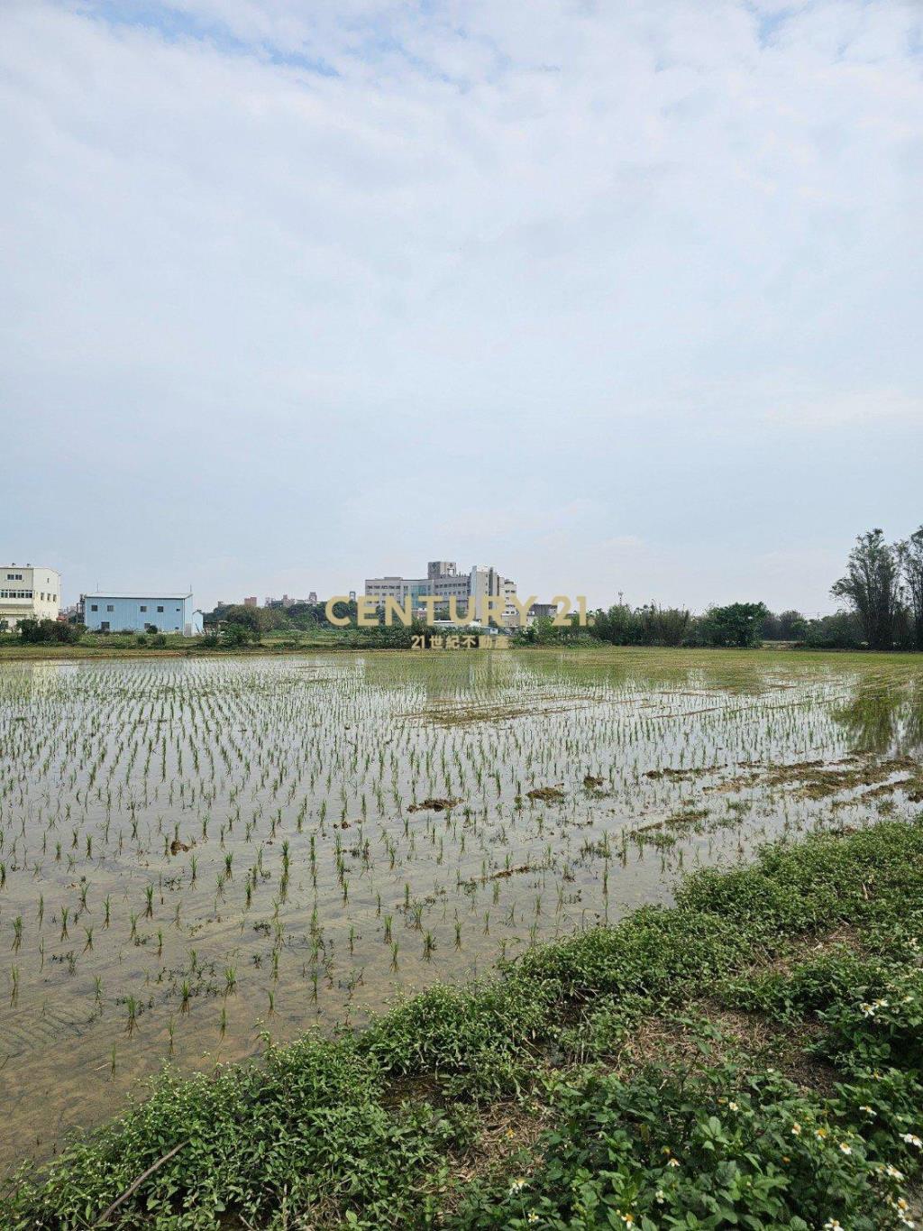 新屋市區|都市計畫內農地|近署桃