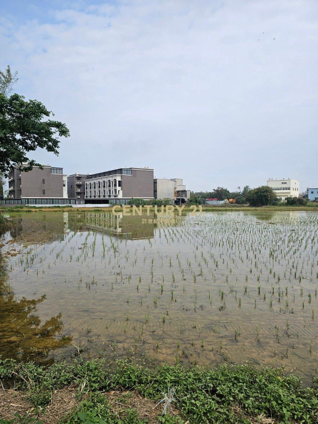 新屋市區|都市計畫內農地|近署桃