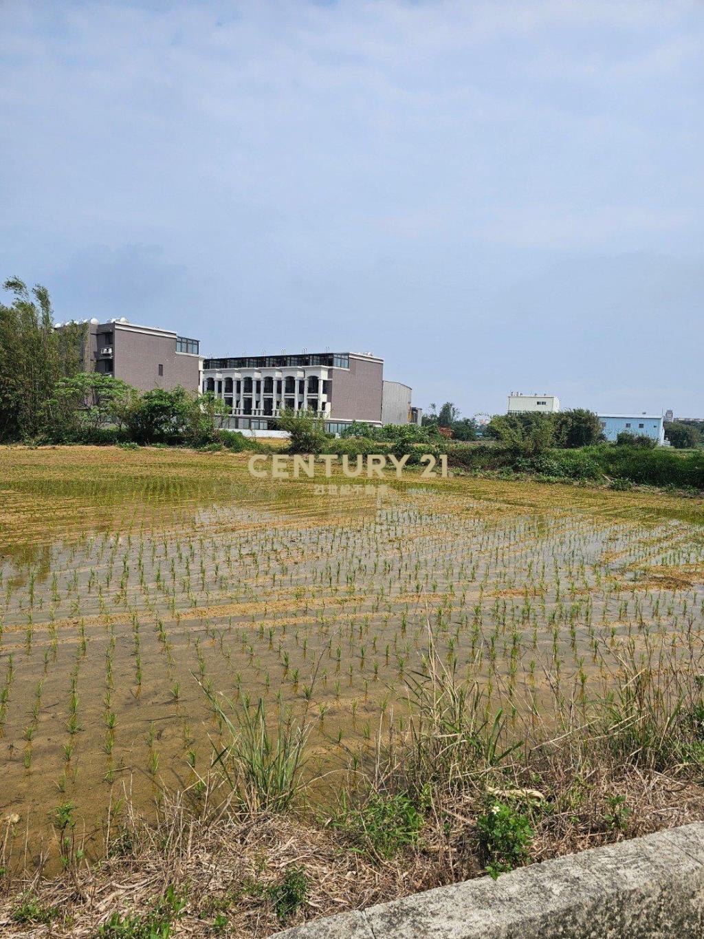 新屋市區|都市計畫內農地|近署桃