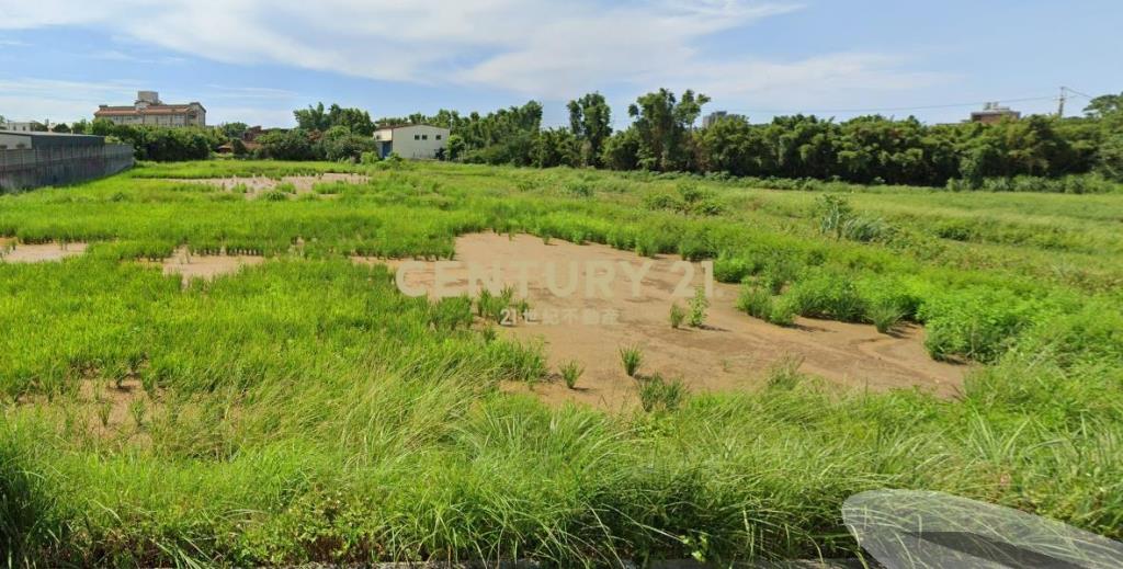 近高鐵南路方正美農地