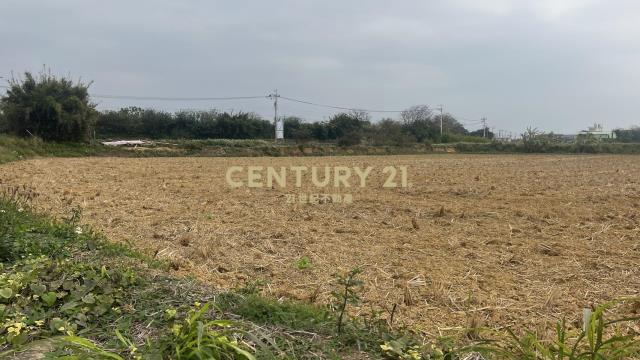 近湖口市區甲建