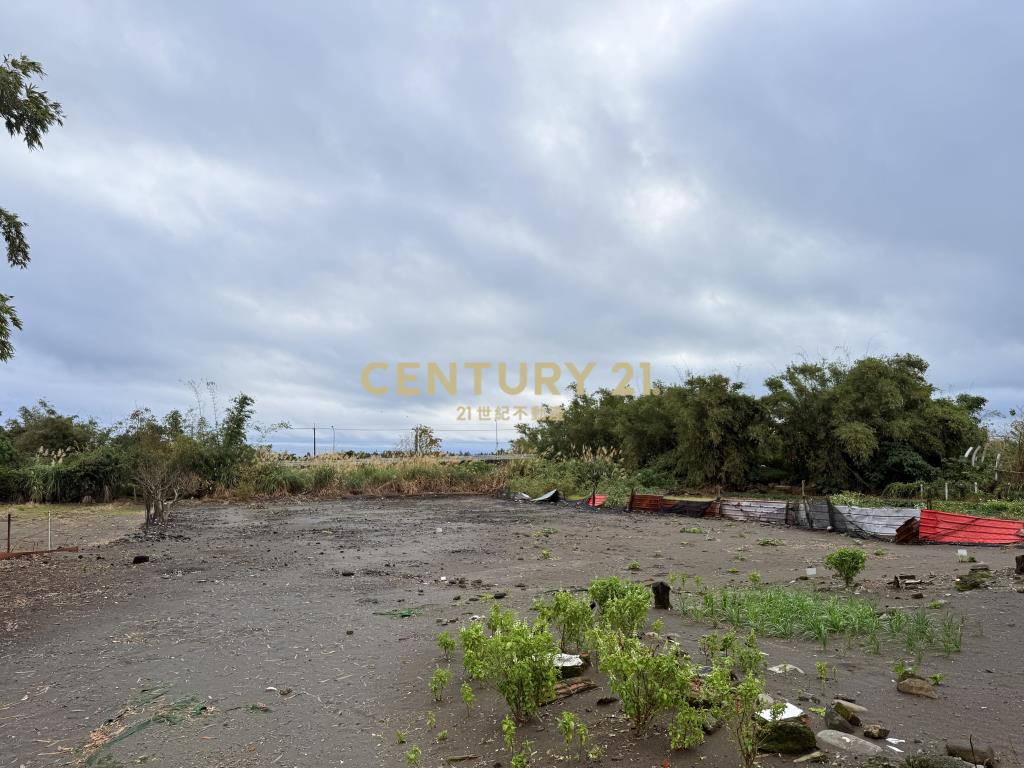 宜蘭壯圍10米路建加農