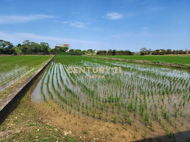 大坡國小資材室農地