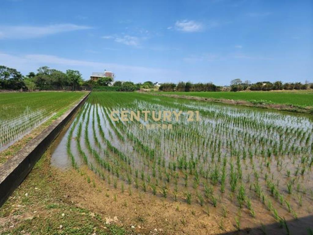 大坡國小資材室農地