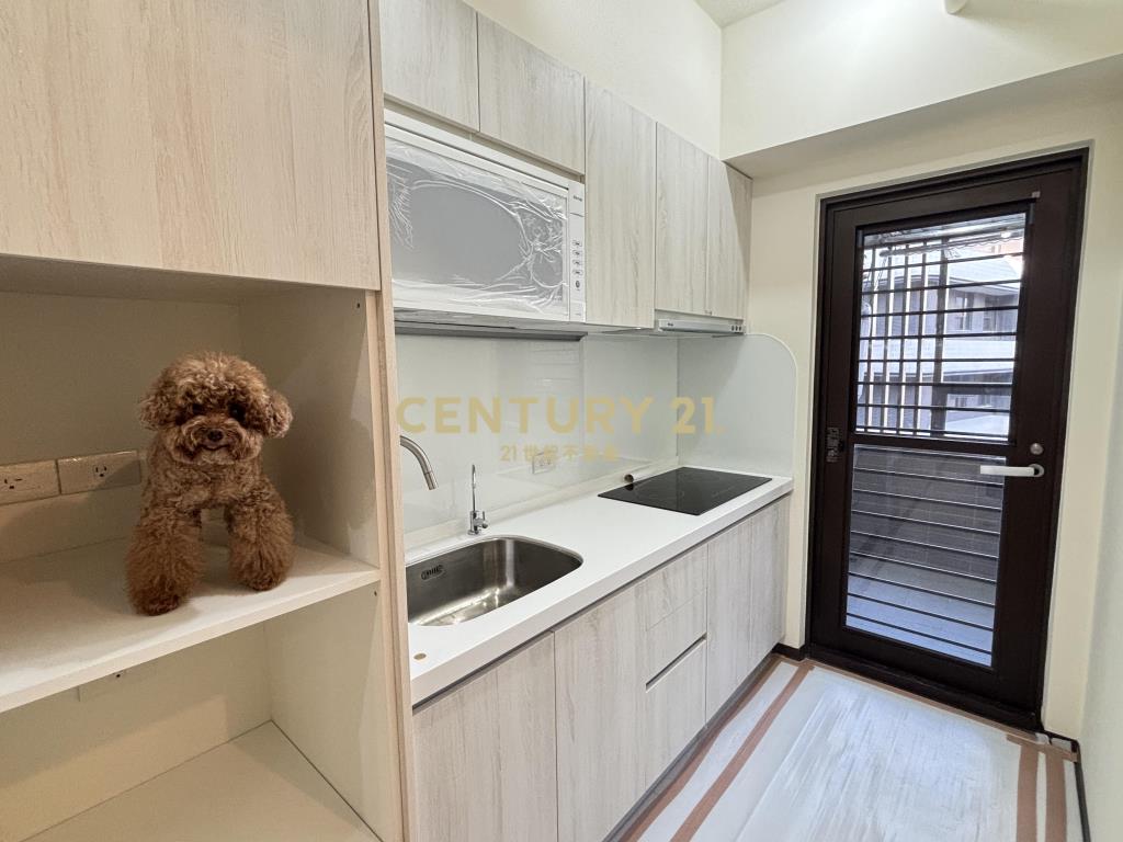 青埔喜徠登投資戶