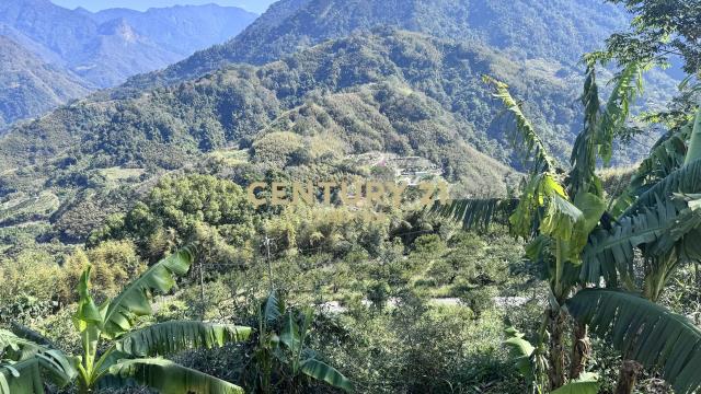 新竹縣峨眉鄉美農地