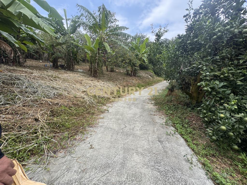 新竹縣峨眉鄉美農地