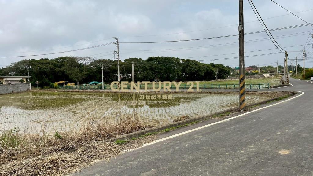 新湖國中面寬雙臨路農地