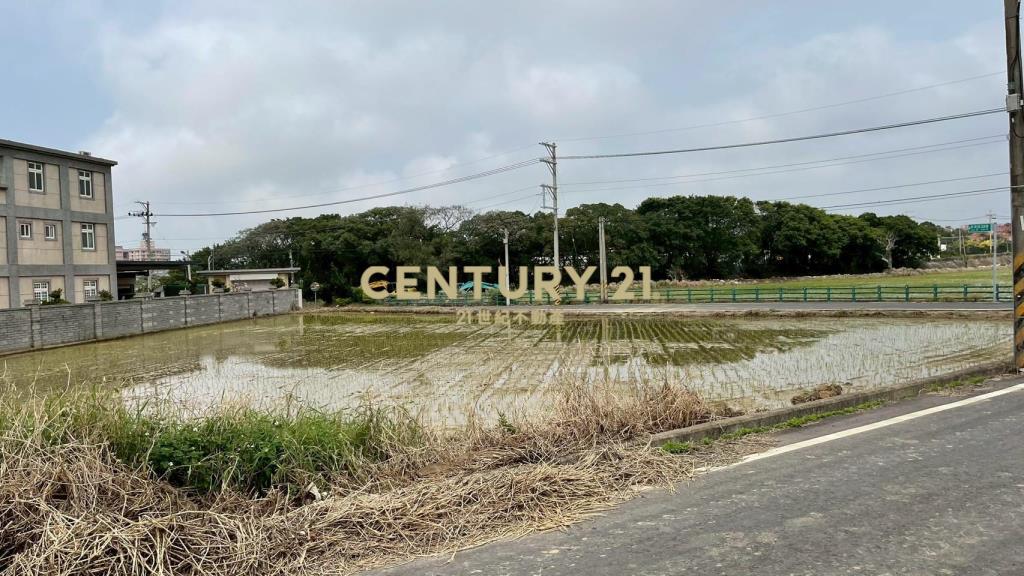 新湖國中面寬雙臨路農地