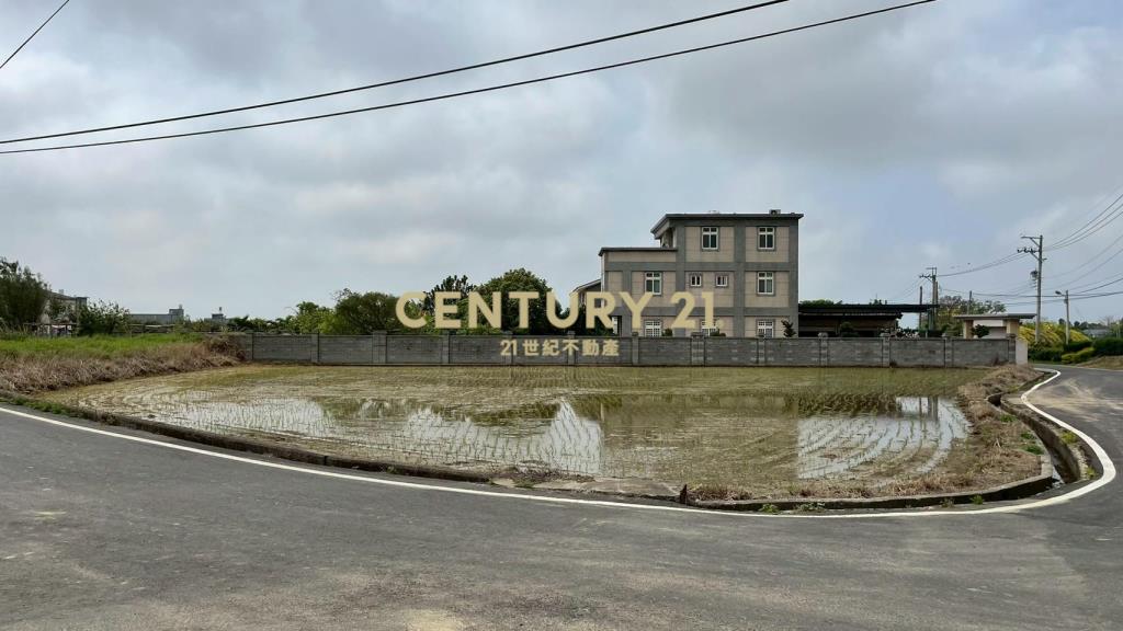 新湖國中面寬雙臨路農地