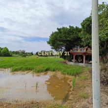 中壢內厝段農地