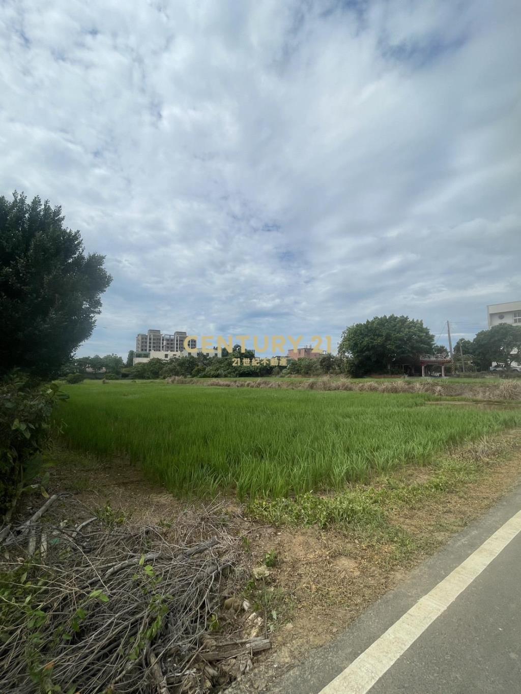 中壢內厝段農地