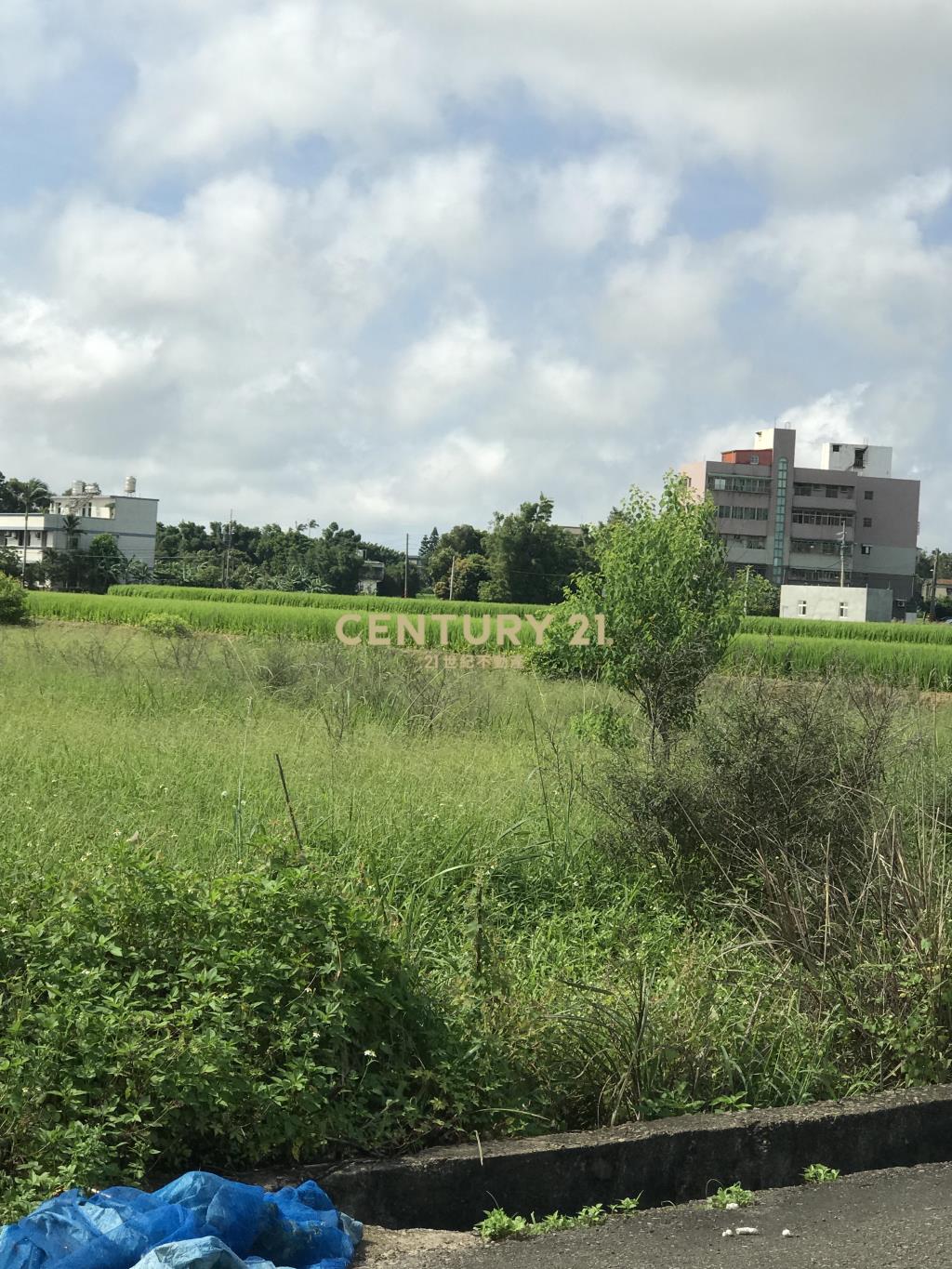 新屋市區美田