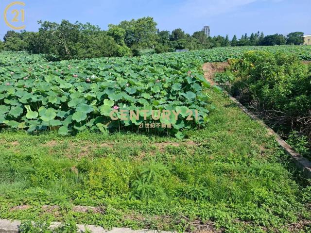 觀音近66農地休閒好去處 桃園中壢房價