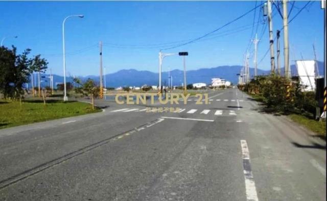 宜蘭壯圍正新南路美農地