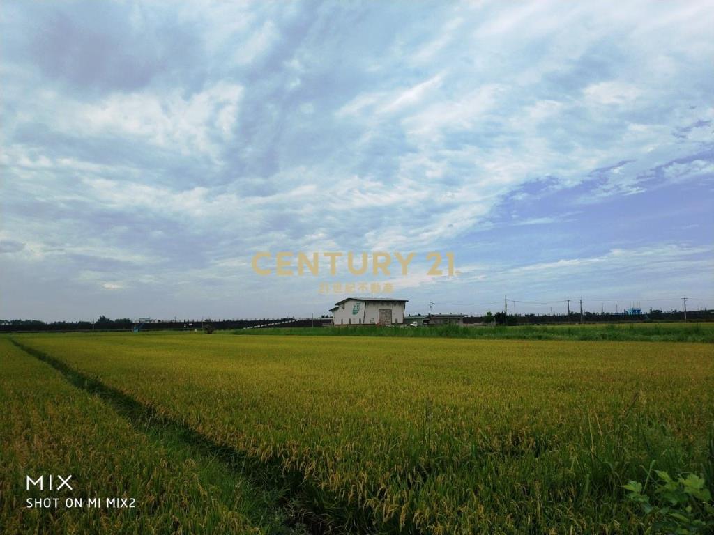 宜蘭壯圍正新南路美農地