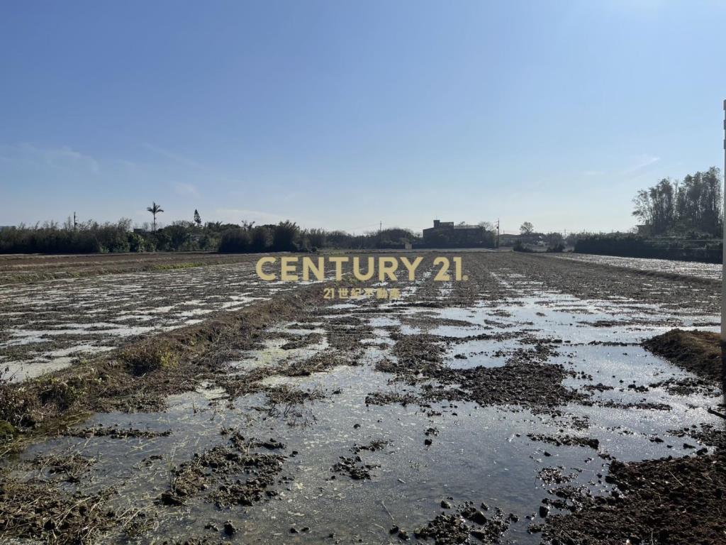 近富岡漂亮合法資材室