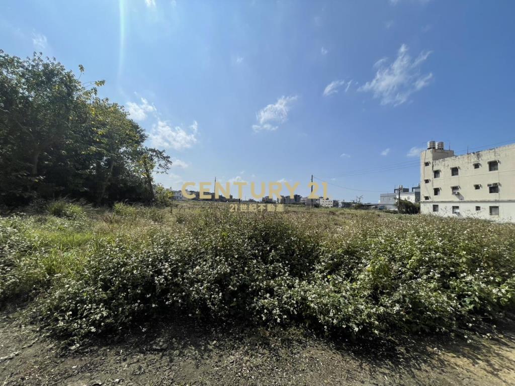 萬能科大臨路漂亮都內農