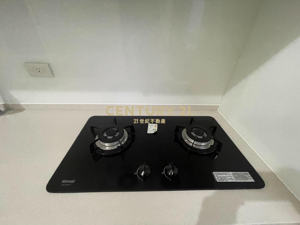 青埔A18全新挑高兩房兩衛+平車