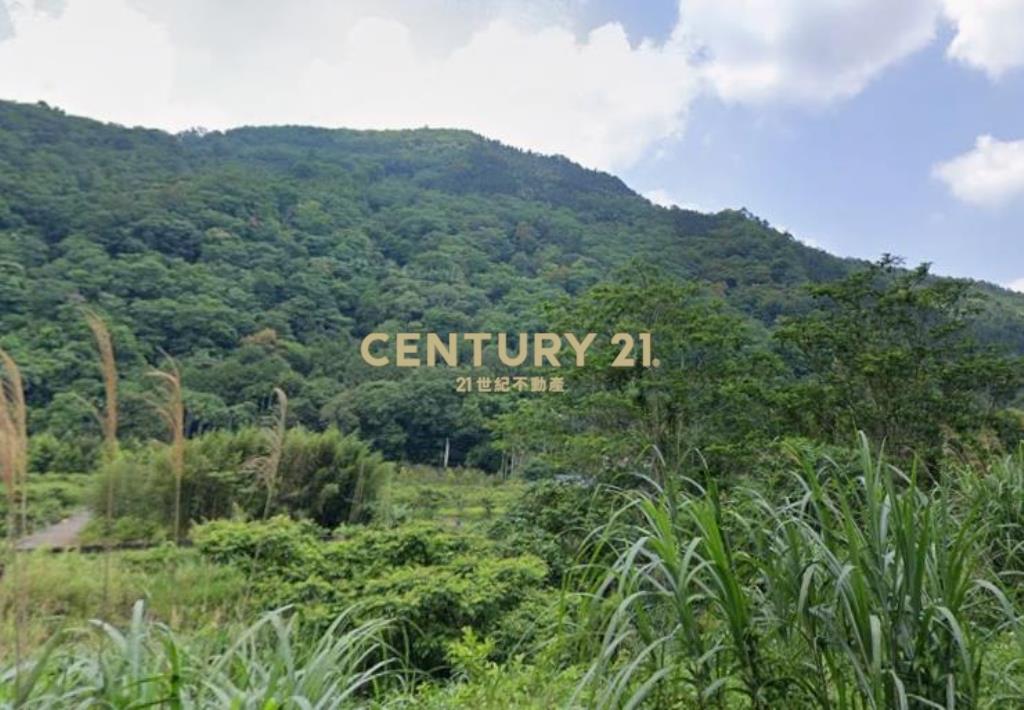 南庄仙境農 林地(含丙建)