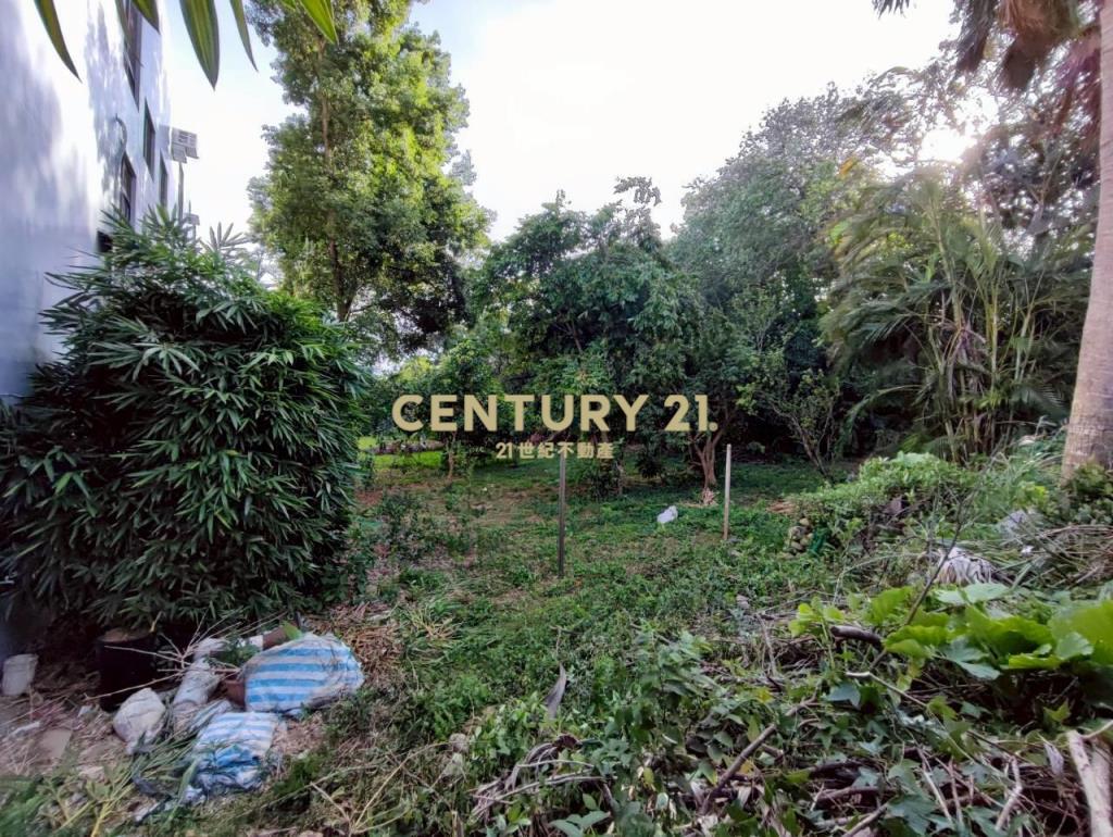 埔心都計美農地