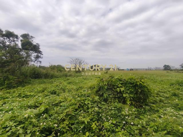 央大草莓學校美農地