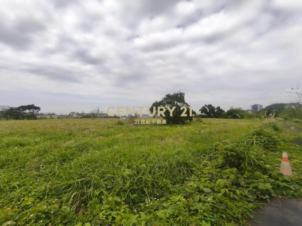 央大草莓學校美農地