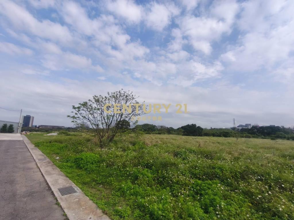 央大草莓學校美農地