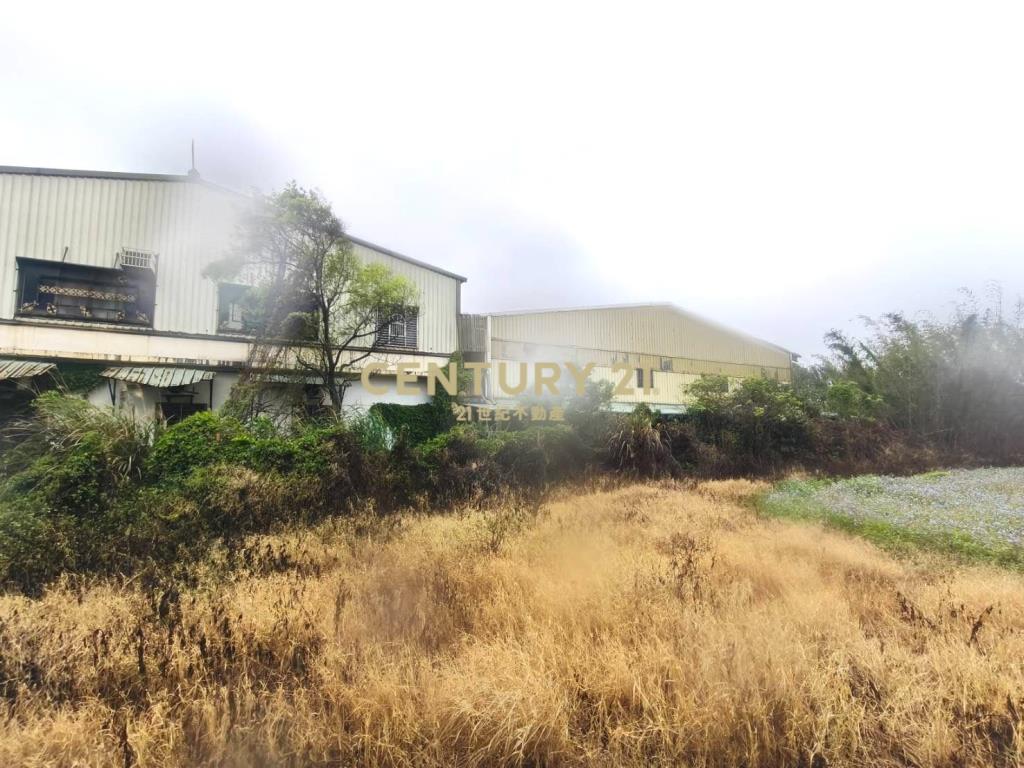 15米路合法農舍倉庫廠房